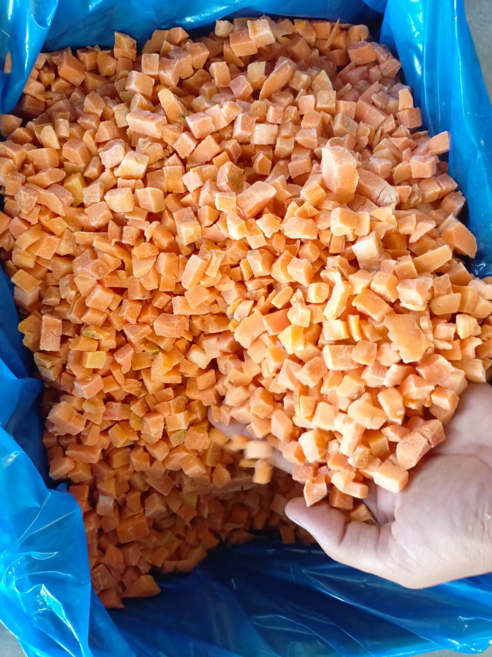 Carottes surgelées en dés