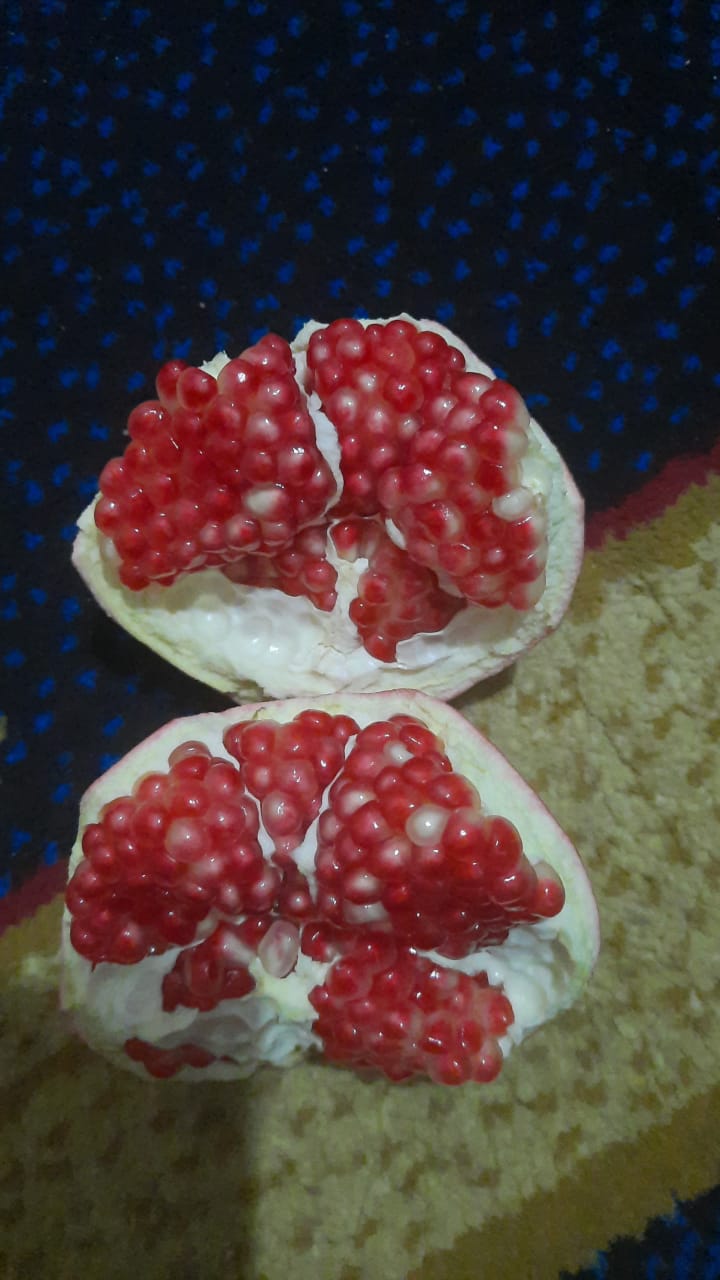 Arilles de grenade
